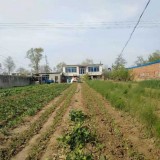 盖州太阳升镇办事处新民村有房屋院落出售