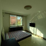 青年 五中双学区